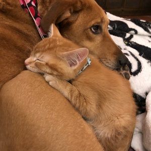 Meet your Posher, Caroline